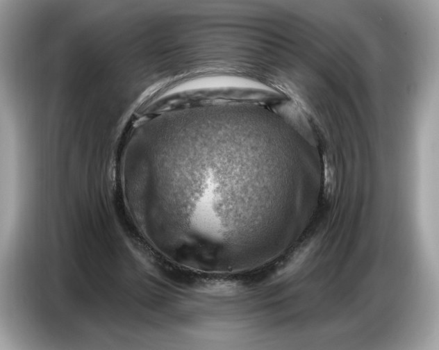 X0000086800348200704271854