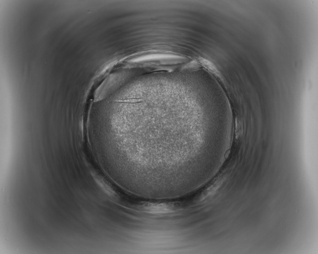 X0000086800349200704271855