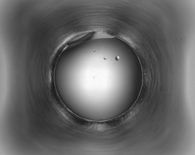 X0000086800350200704271855