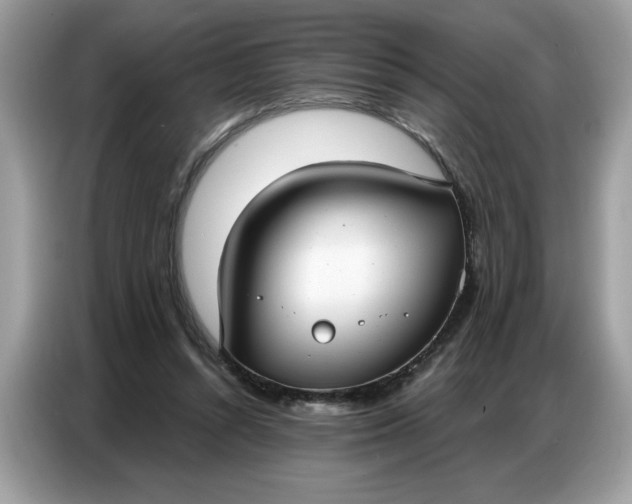 X0000086800352200704271855