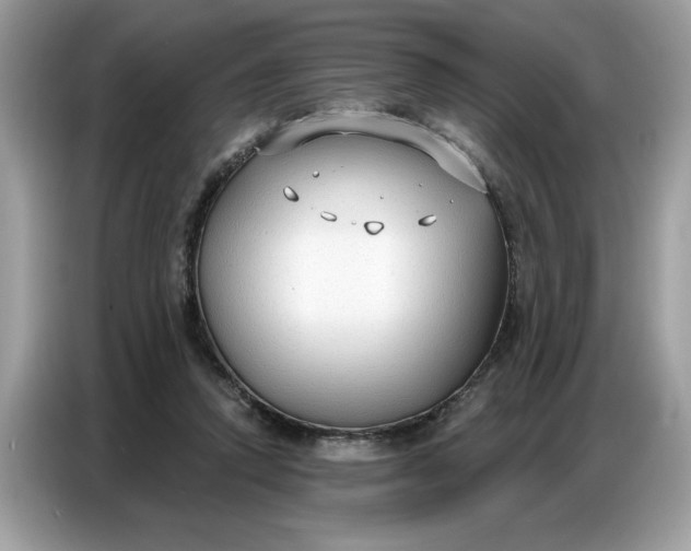 X0000086800354200704271855