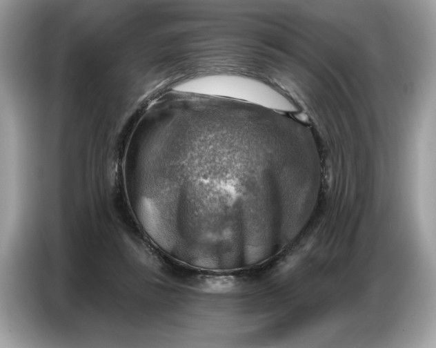 X0000086800355200704271855