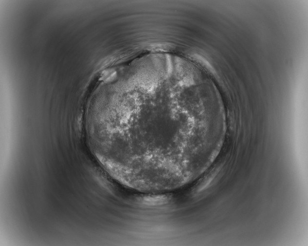 X0000086800357200704271855