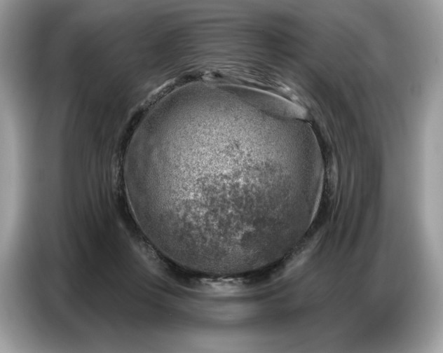 X0000086800359200704271855