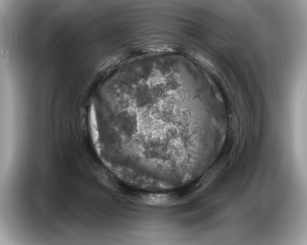 X0000086800361200704271855