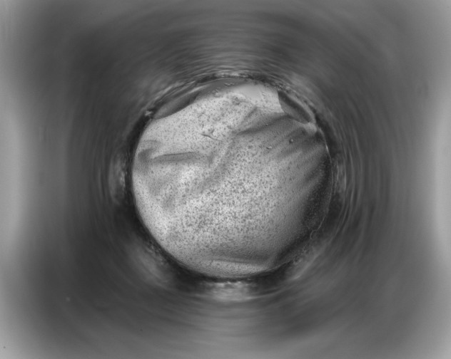 X0000086800363200704271855