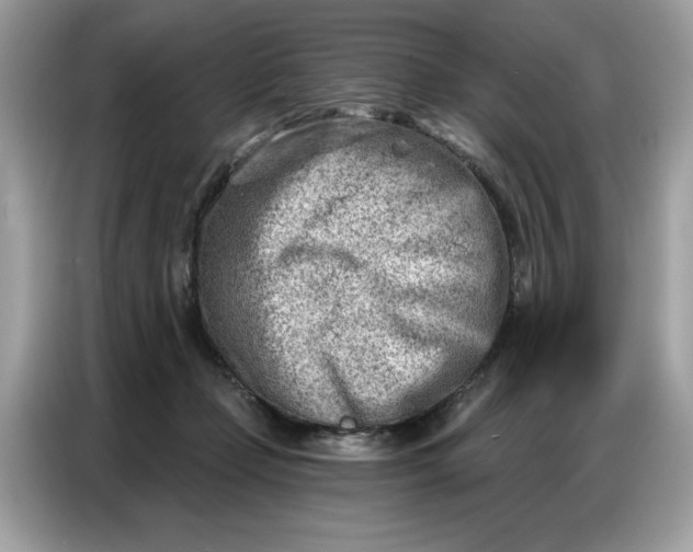 X0000086800365200704271855