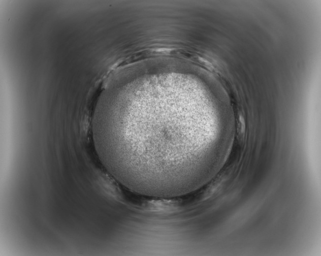 X0000086800367200704271855