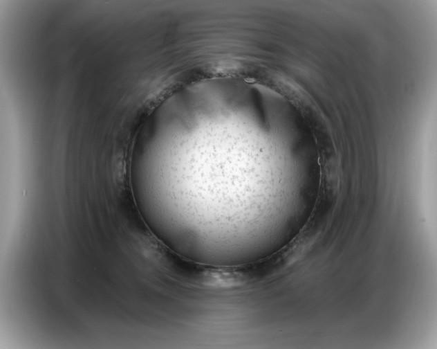 X0000086800372200704271855