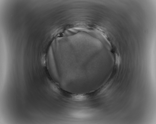 X0000086800383200704271855