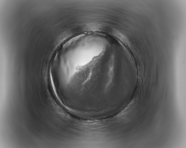 X0000086800386200704271854