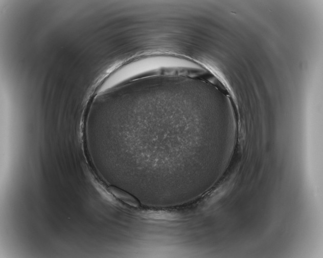 X0000086800389200704271854