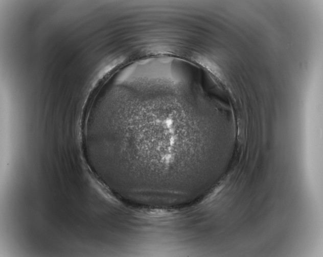 X0000086800390200704271854