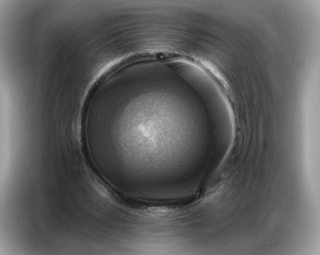 X0000086800391200704271854