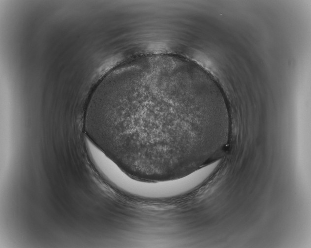 X0000086800393200704271854