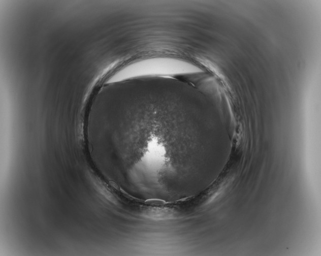 X0000086800399200704271854