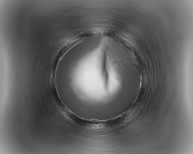 X0000086800411200704271854