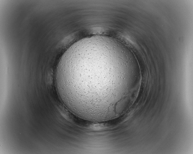 X0000086800413200704271854