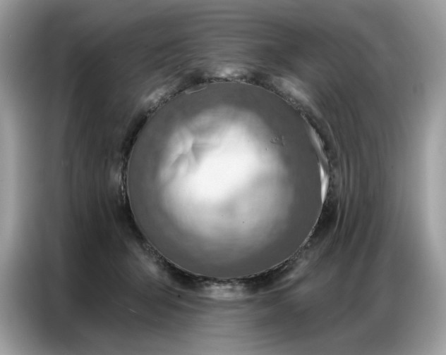 X0000086800415200704271854