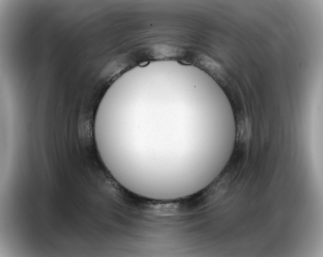 X0000086800426200704271854