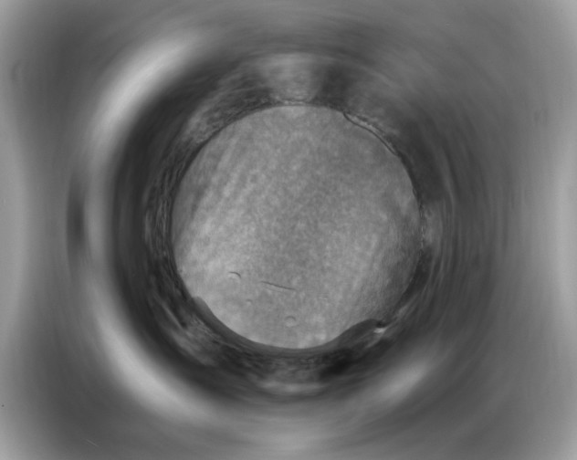 X0000086800431200704271854