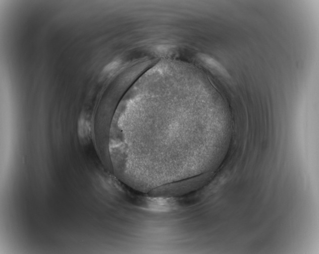 X0000086800432200704271854