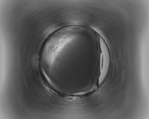 X0000086800434200704271853