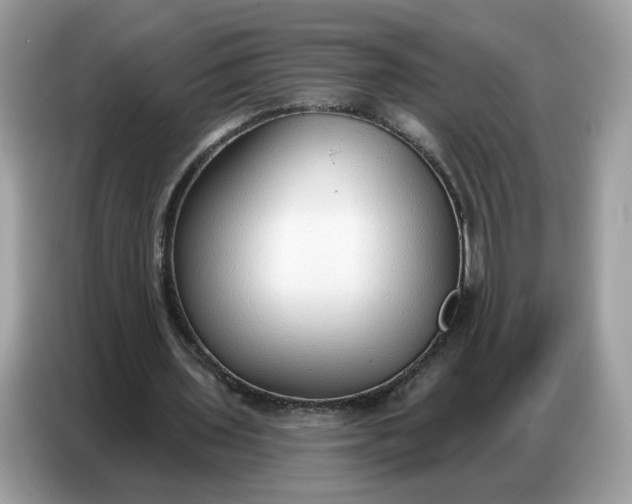 X0000086800435200704271853