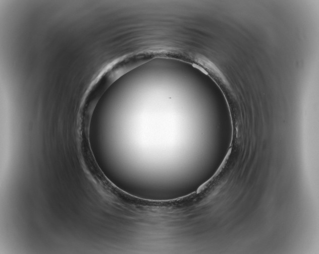 X0000086800436200704271853