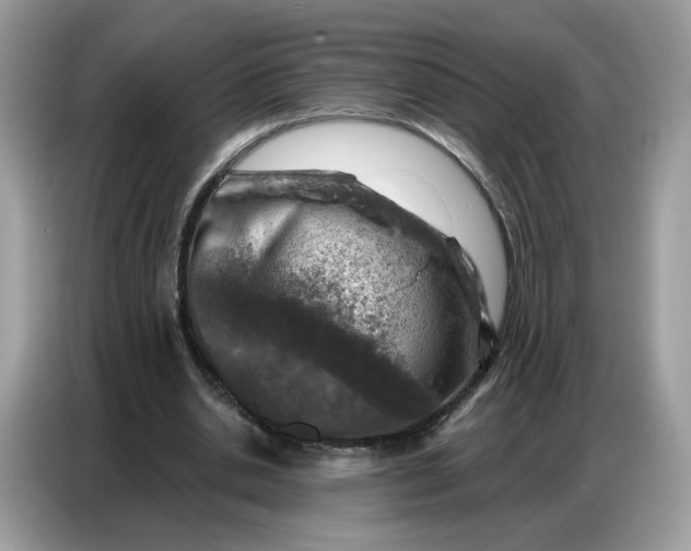 X0000086800438200704271853