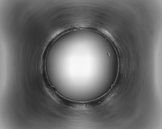 X0000086800439200704271853