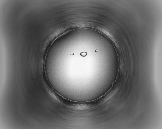 X0000086800445200704271853