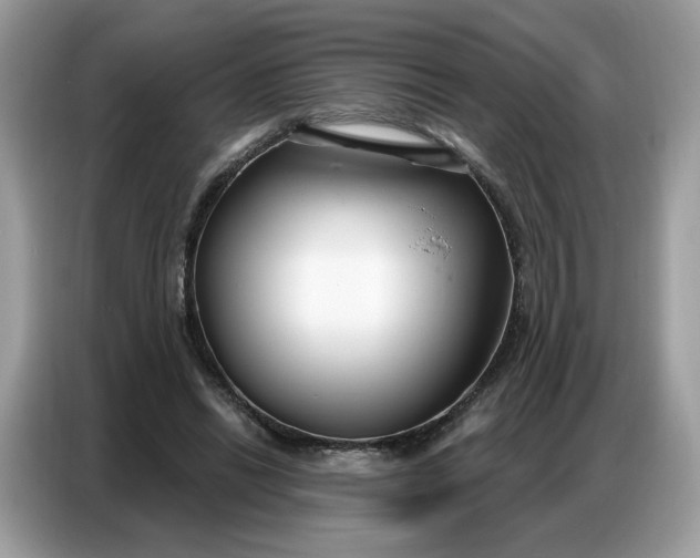 X0000086800446200704271853