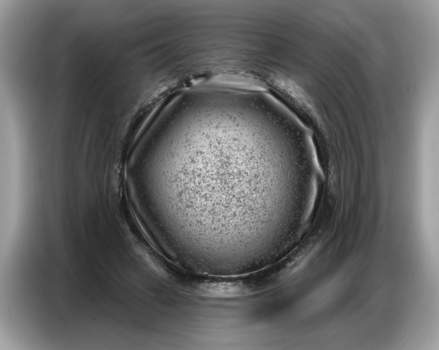 X0000086800449200704271853