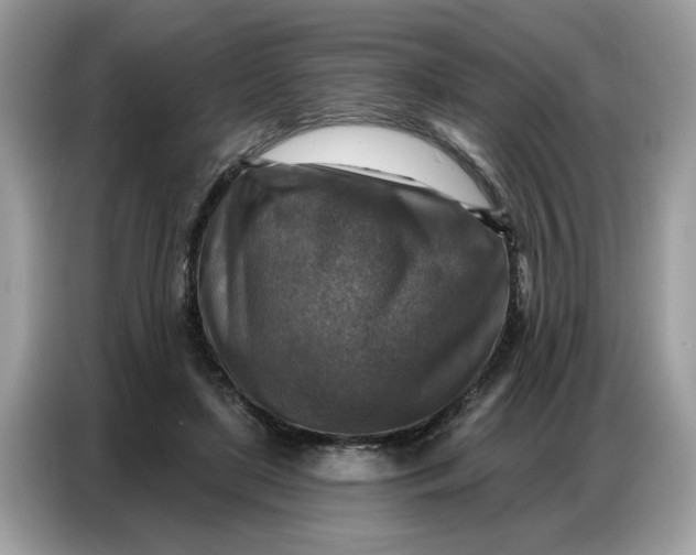 X0000086800451200704271853