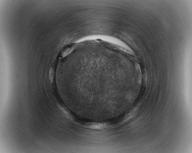 X0000086800458200704271853