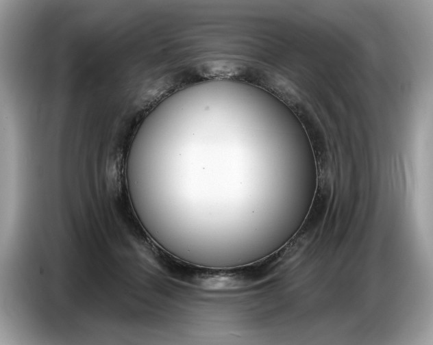 X0000086800460200704271853