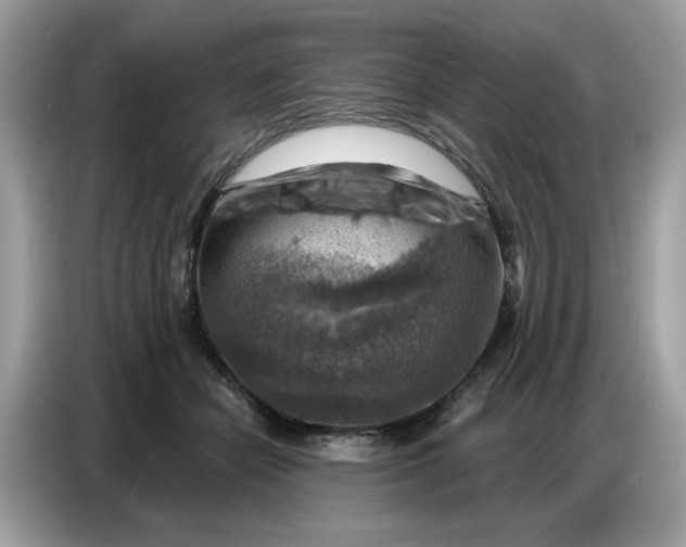 X0000086800462200704271853