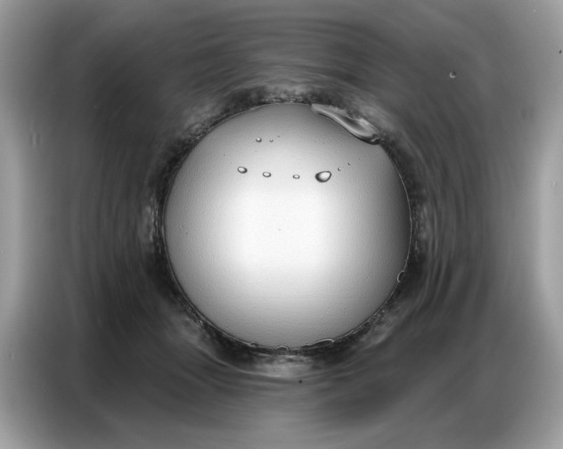 X0000086800463200704271853