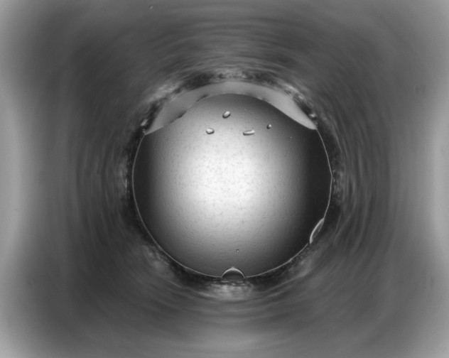 X0000086800466200704271854