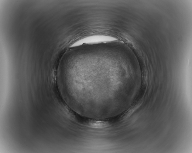 X0000086800467200704271854