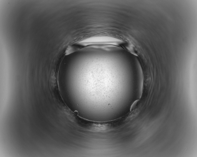 X0000086800469200704271854