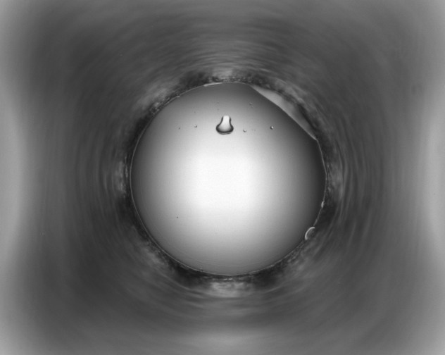 X0000086800470200704271854