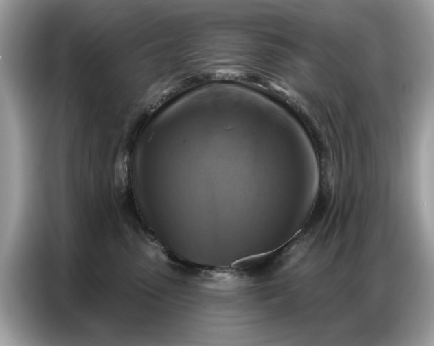 X0000086800475200704271854