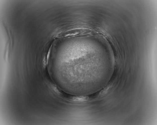 X0000086800479200704271854