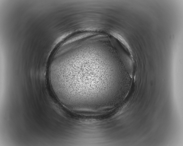 X0000086800483200704271853