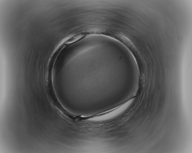 X0000086800484200704271853