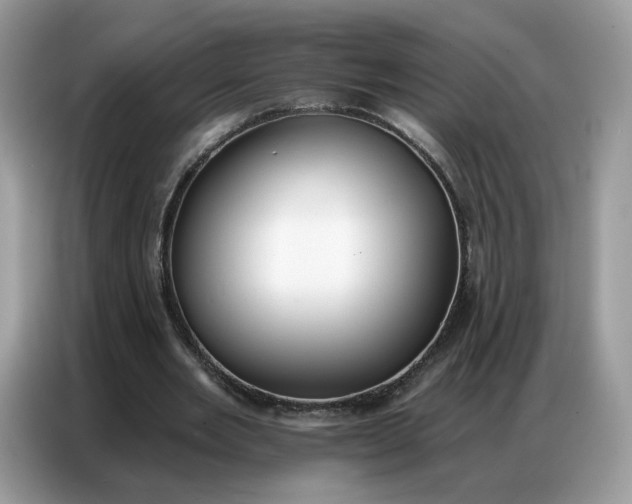 X0000086800485200704271853