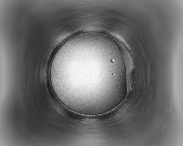 X0000086800487200704271853