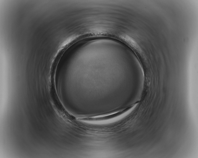 X0000086800488200704271853